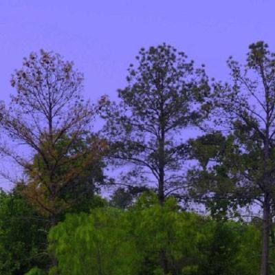 完美电竞平台下载手机版