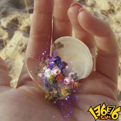 fb体育官方网站入口